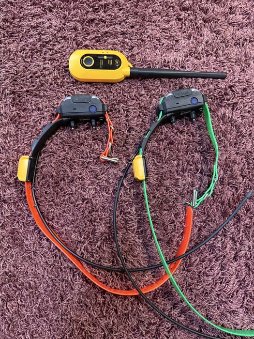 Gps Caini Dogtra Pathfinder 2