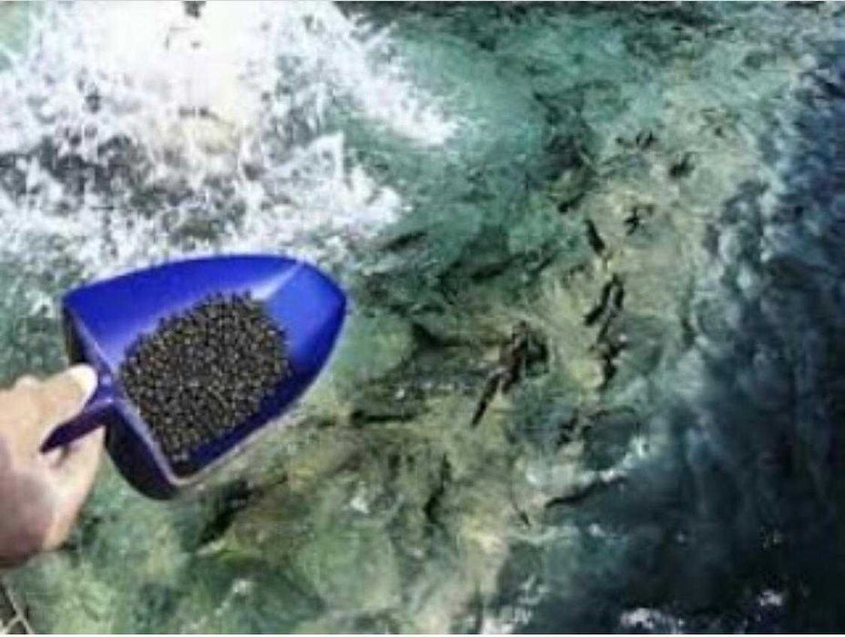 Корм для рыб Aller Aqua Алматы