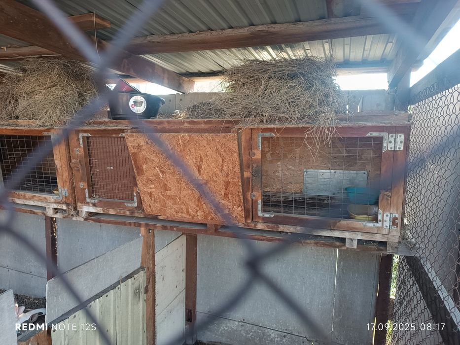 Клетки для кроликов