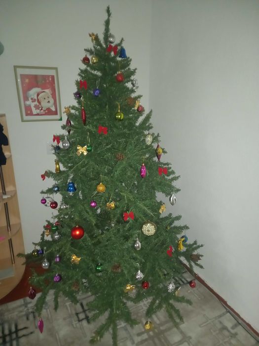 Срочно продаю ёлку!