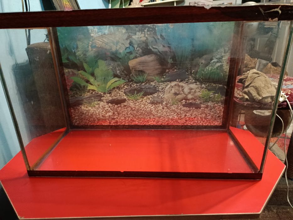 Аквариум для рыбок
