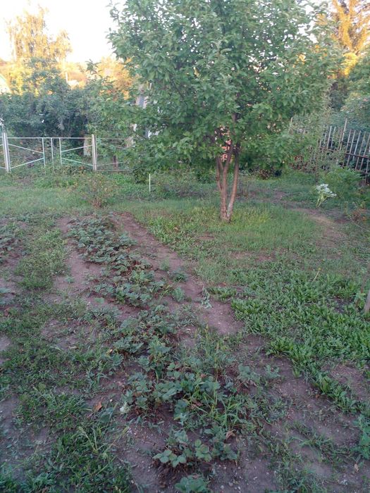 Продаю дачу 6 соток