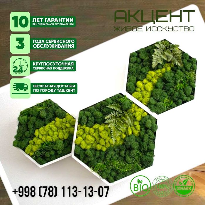 "Акцент" Живое искусство