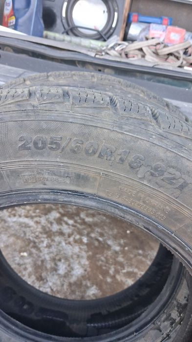 Екі ризина сатылады