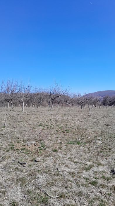 Рибарник с овощна  градина