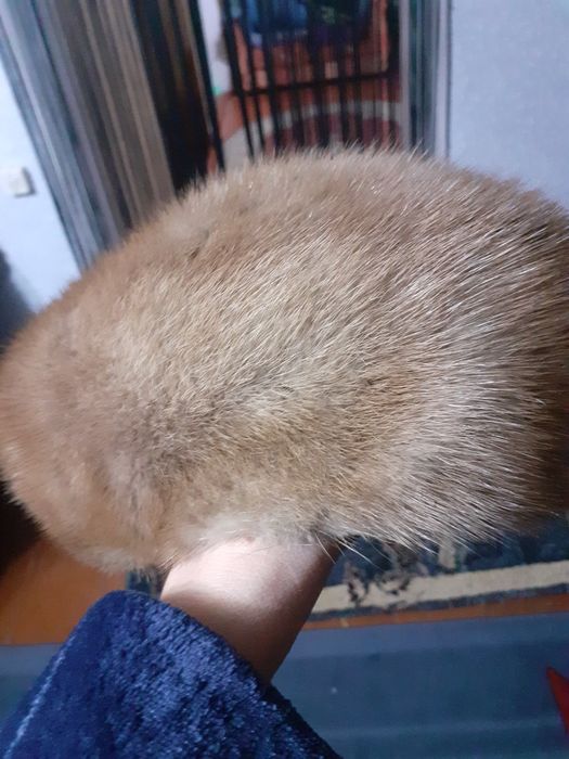 Продам береты норка