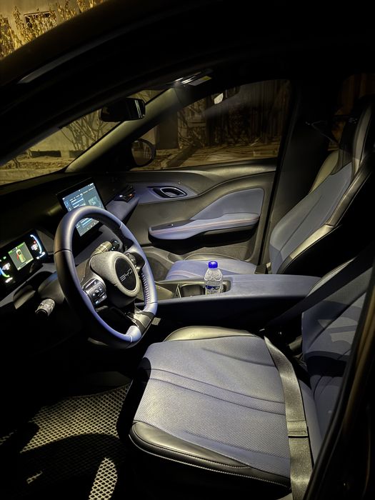 Bud seagull Черный