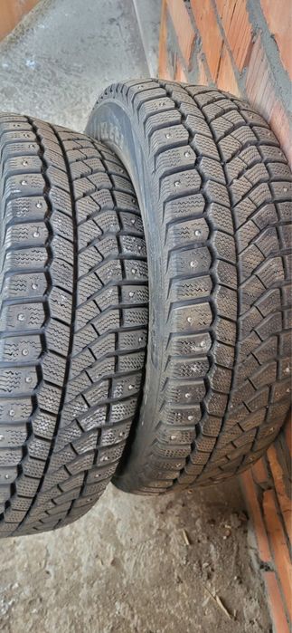 Қыстық  донгелек