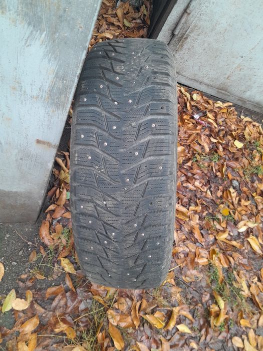Зимние шины  шипы