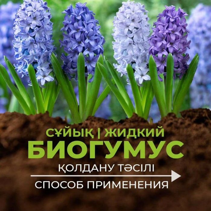 Биогумус природное удобрение