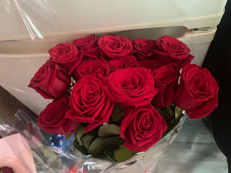 ПРОДАМ цветы дешево