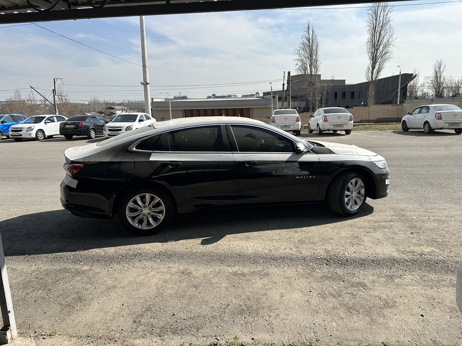 Malibu premier sotiladi