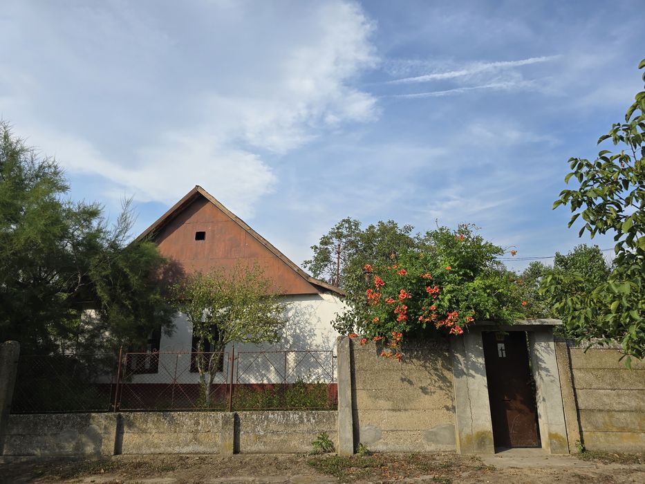 Casă de vânzare Boiu, Bihor