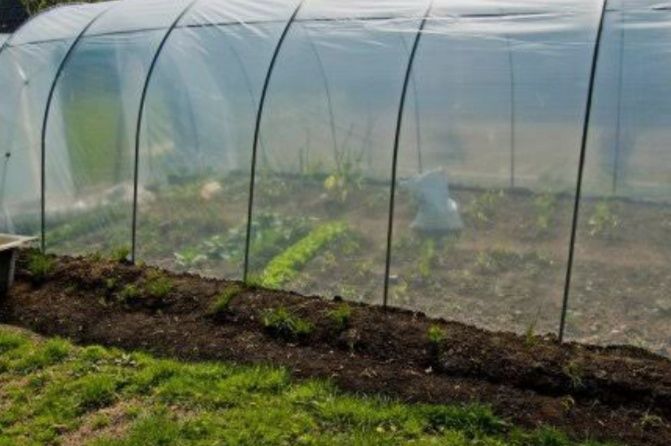 Монтаж ,установка и ремонт  теплиц