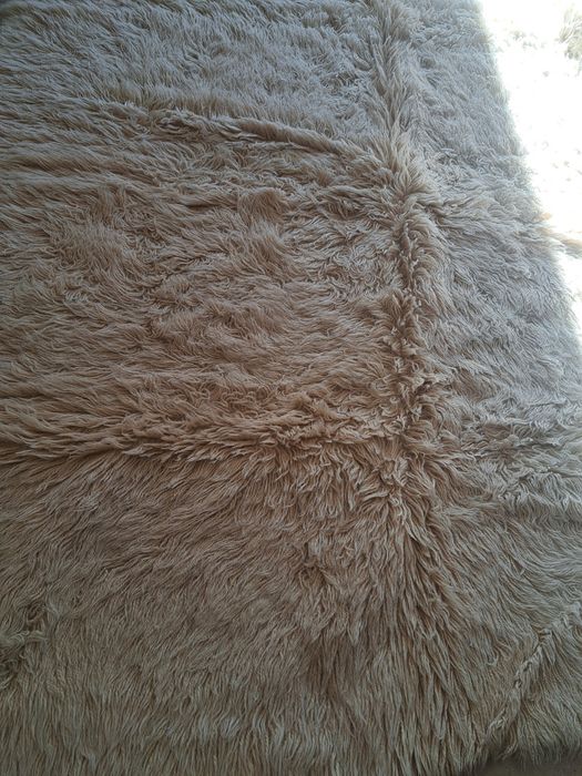 Бяло Родопско халище