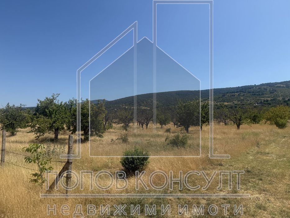 Продава се Парцел в с. Брестник, Област Пловдив - 5201 кв.м за 50 €/кв.м - Снимка #1
