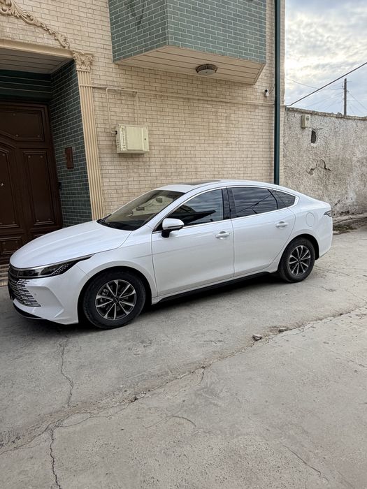 BYD Chazor 2 позиция