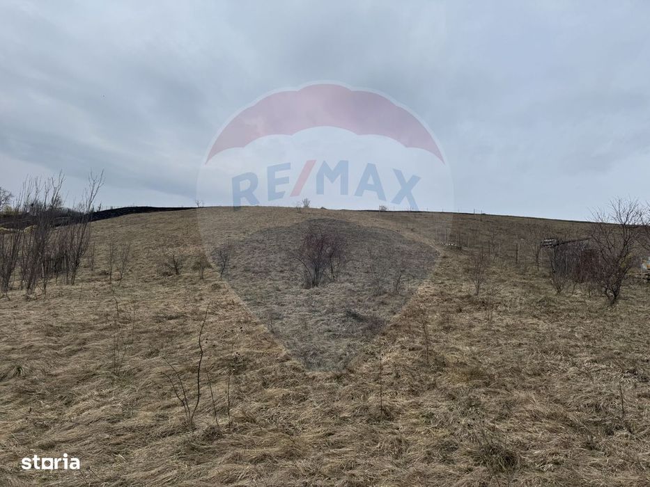 Teren intravilan 2307 mp în Salicea, zona premium, aproape de Cluj