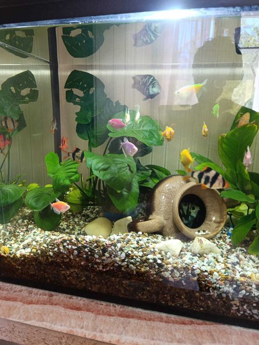 Продам новый аквариум с тумбой