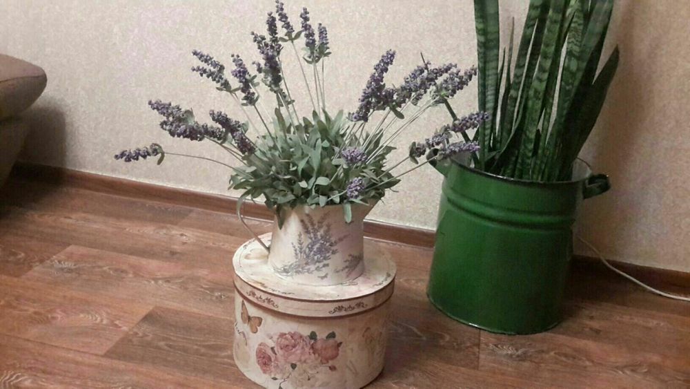 Лаванда в кувшине Прованс