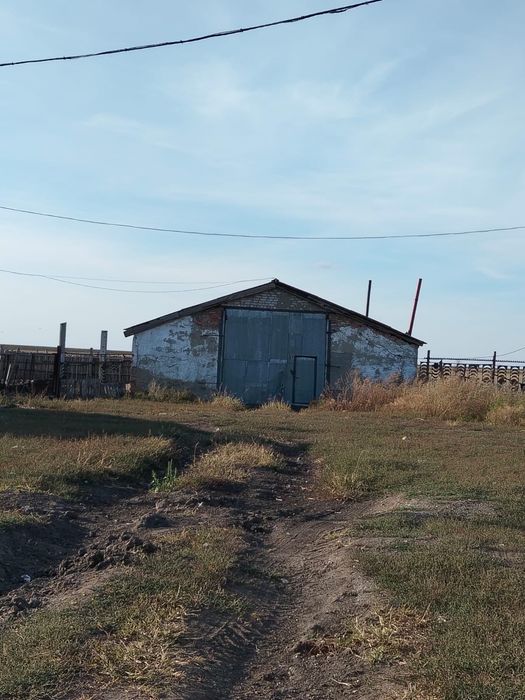 Продам ферму с.Никитинка, Мендыкаринский район.
