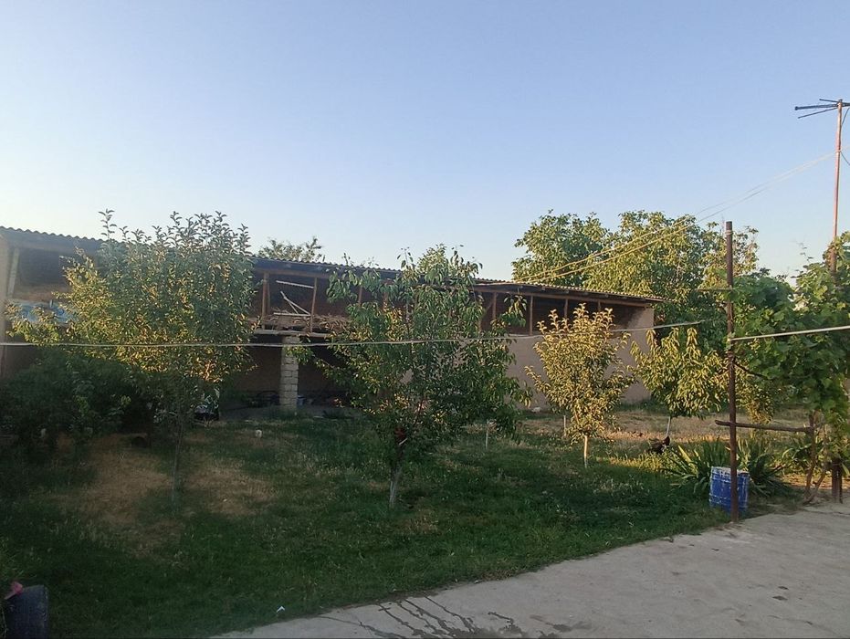 Dala hovli uchatska narxida