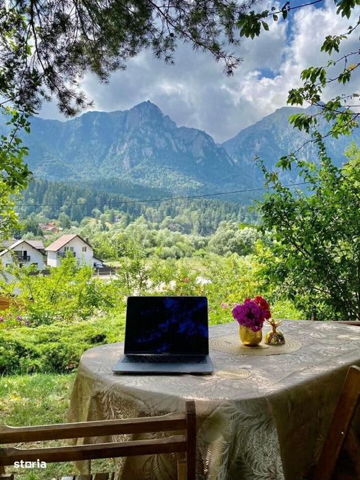 Vila Cartier Zamora//Busteni