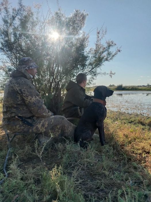 Курцхар кабель на вязку.