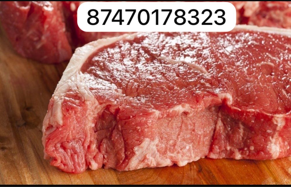 Мясо Конина Халал |Говядина | Жилик | Жылқы еті Соғымға| Доставка