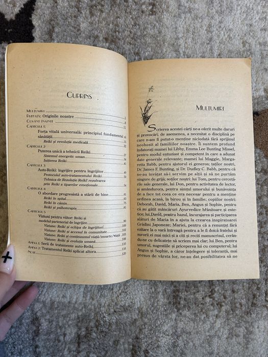 Carte Reiki - Medicina Energetică - Libby Barnett, Maggie Chambers (Editura Antet)
