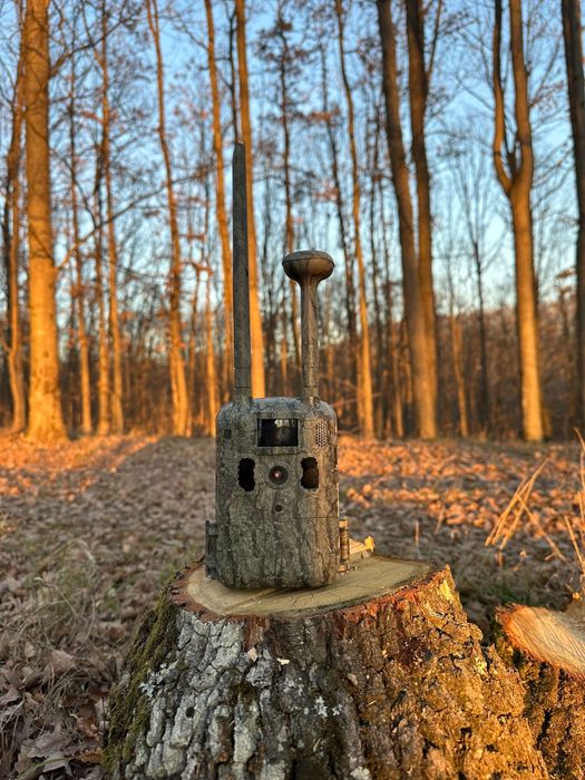 Camera vanatoare Forestvision Live C8 GPS 2025 4G