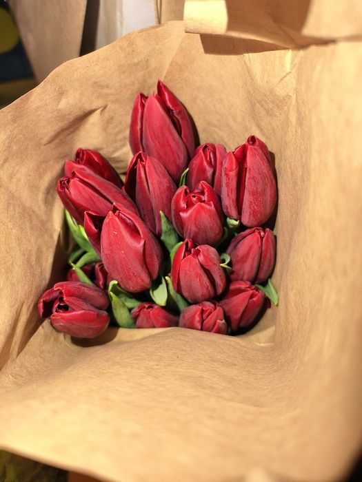 тюльпаны акция! От 140 до 400тг