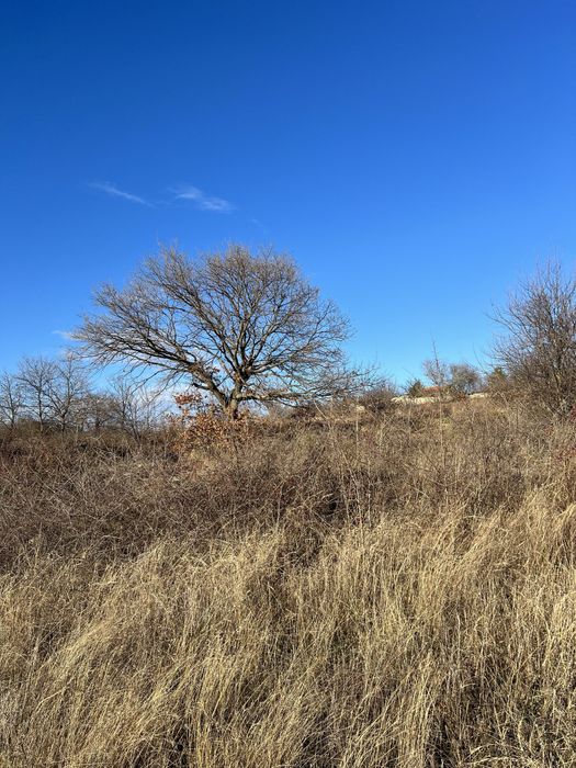 Продава се Парцел в с. Приселци, Област Варна - 1044 кв.м за 101 €/кв.м - Снимка #10