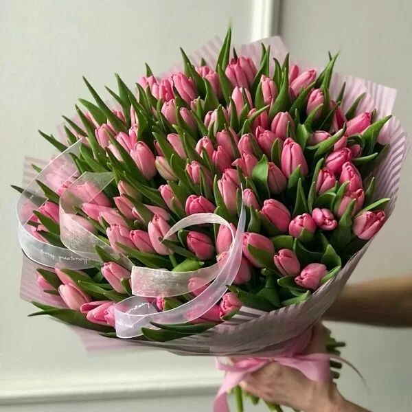 Тюльпаны свежие.