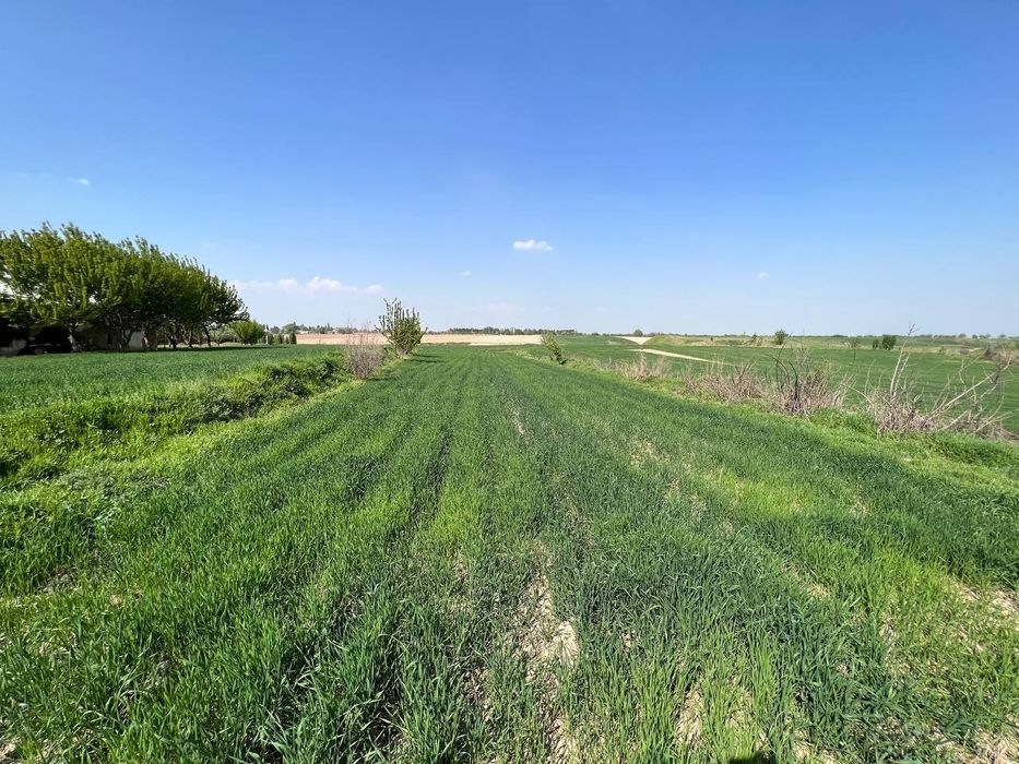 Срочна нотурар 150 сотих жойимиза сотилади