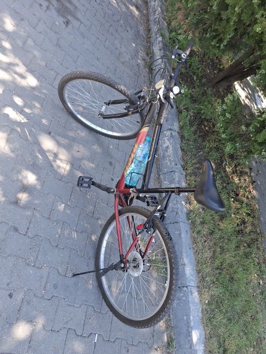 Bicicleta rich !