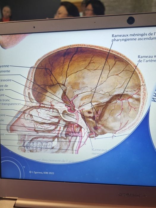 Приём  доктора- остеопата