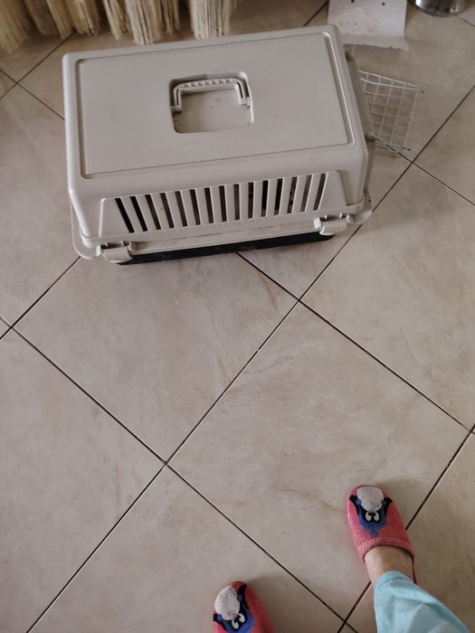 Переноска для животных