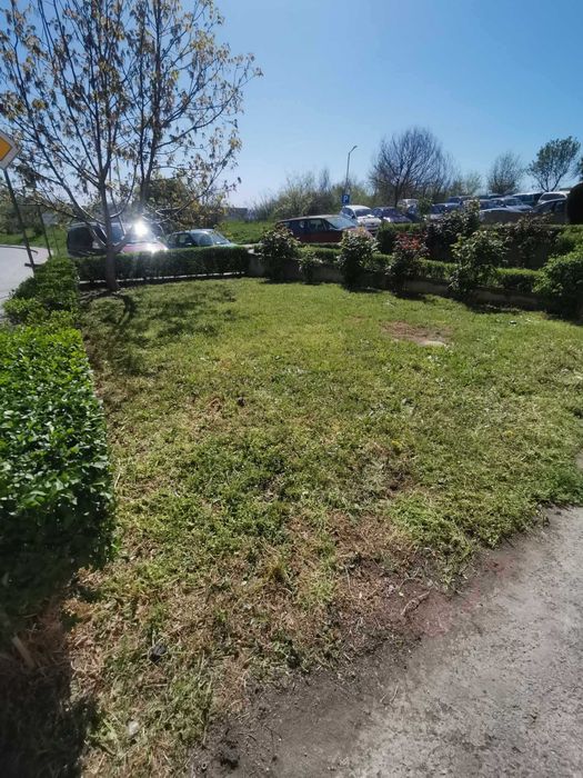 Косене/Рязане/Оформяне/Поддръжка/Почистване/Пръскане