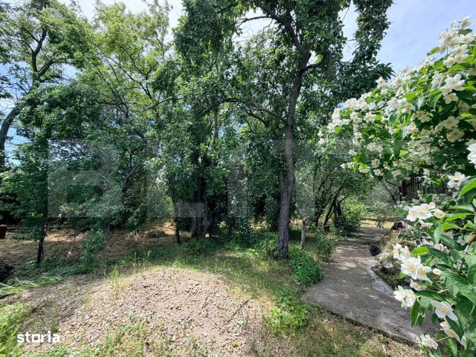 Casa cu teren mare si mult spatiu verde in Satul Motoci, Comuna Mischi