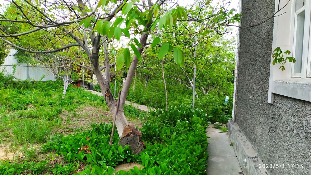 Продам дачу в талгарском районе