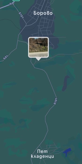 Продава се Парцел в Борово - 2484 кв.м за 3 €/кв.м - Снимка #6