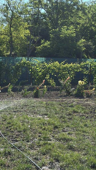 De vanzare teren intravilan comuna Gemenele