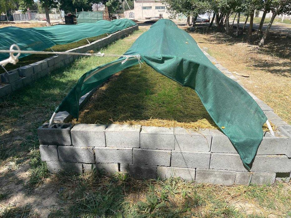 BIOGUMUS // Sirdaryo. Yangiyer shahar. zakazga ham, Tayyori ham bor