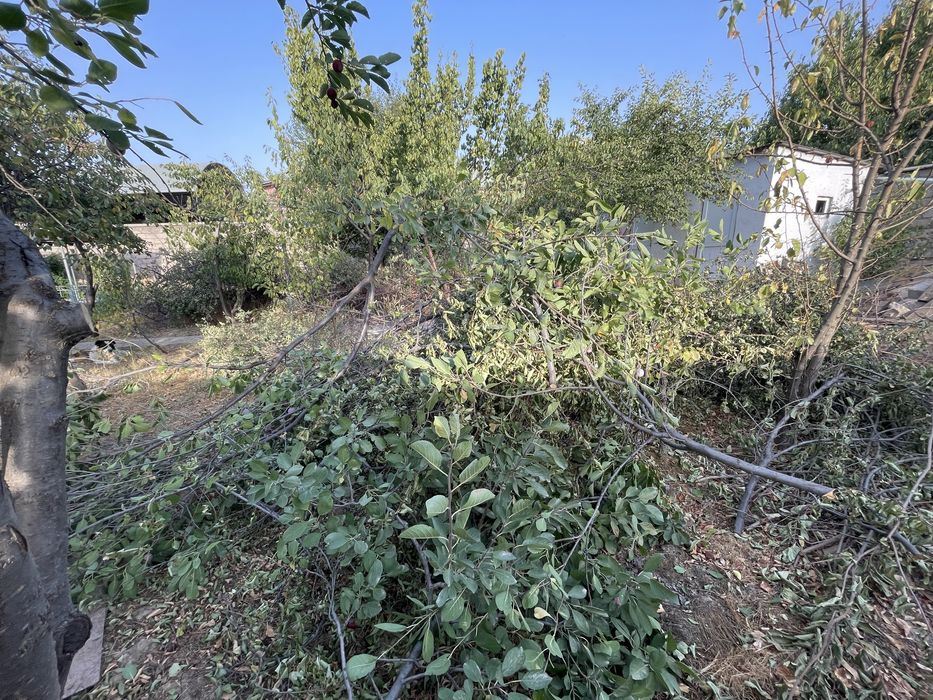 Дрова, доски и бревна