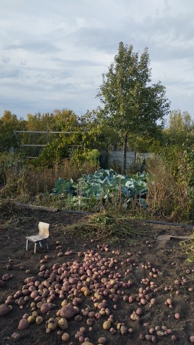 Продам дачу Алма