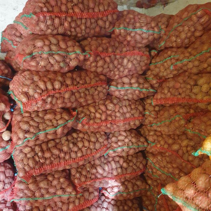 Cartof de sãmânta Bellarosa Clasa C