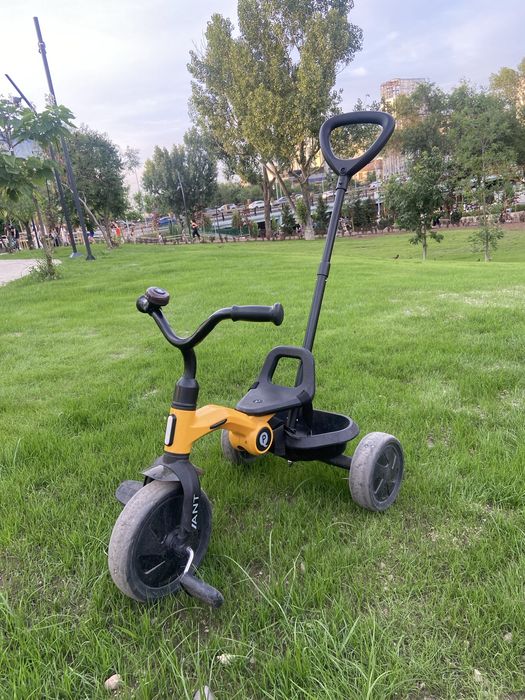 Трехколесный велосипед Qplay ANT