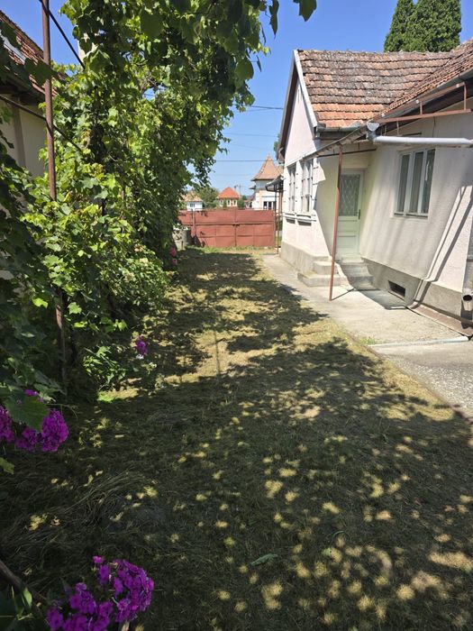 Casa de  locuit in Petelea