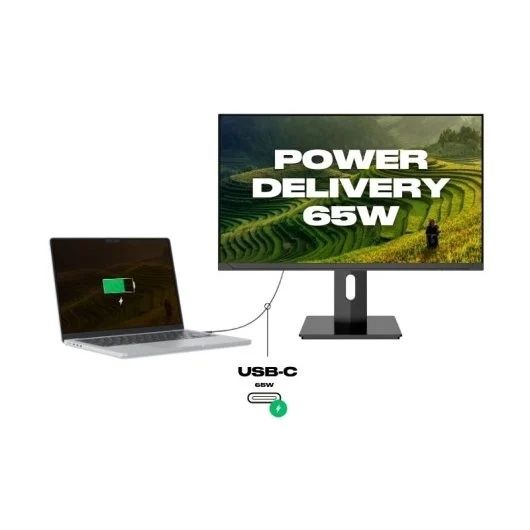 Japannext 23.8 4K (JN-IPS2380UHDR-C65W-HSP)